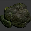 Fresh Vibrant Green Broccoli Vegetable Isolated On Dark Background For Healthy Meals