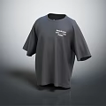 Gray Loose Fit Short Sleeve T shirt with Brand Johnson Company Text