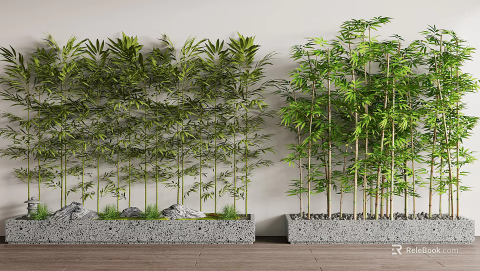 Potted Bamboo Plants In Rectangular Stone Planters With Light Walls Wooden Floors And Small Pebbles 3d model 