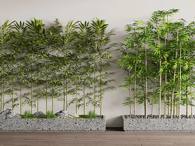 Potted Bamboo Plants In Rectangular Stone Planters With Light Walls Wooden Floors And Small Pebbles 3d model