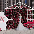 Romantic Outdoor Photo Check-in Spot With Rose Covered Wall White Frame And Red Bench