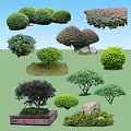 Various Types Of Garden Trees With Green Foliage Shrubbery And Decorative Stones