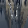 Smooth Legs With Dark Socks Tiptoes Upward Clear Visible Toes On Gray Background