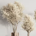 Elegant Decorative Bonsai Potted Plants In White Ceramic Pots With Copper Accents For Indoor Decor