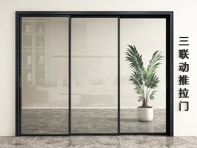 Modern Three Panel Glass Sliding Door Design With Indoor Potted Plant 3d model