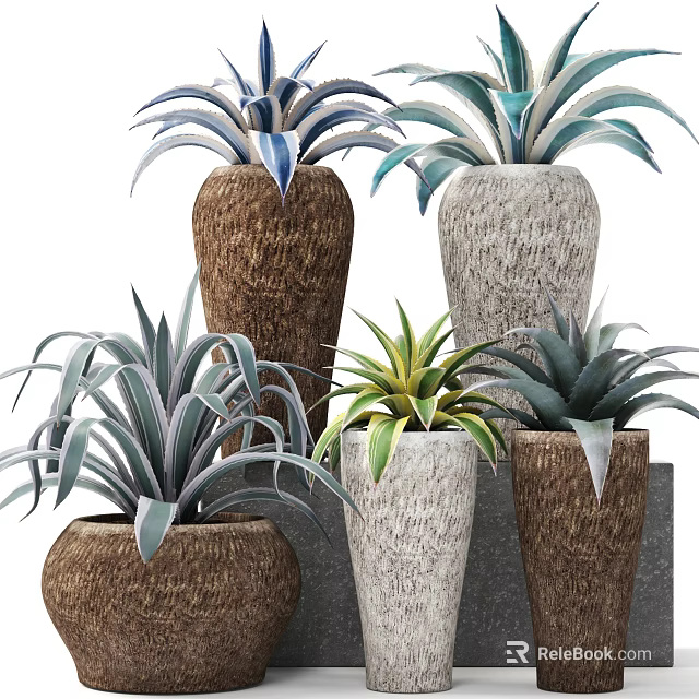 Various Decorative Potted Plants With Green Blue Leaves In Textured Pots 3d model 