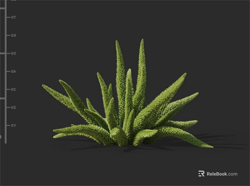 Green Shrub with Long Pointed Leaves and Textured Surface in Natural Setting 3d model 