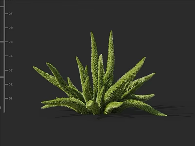 Green Shrub with Long Pointed Leaves and Textured Surface in Natural Setting 3d model
