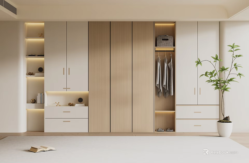 Modern White And Wooden Wardrobe With Hanging Area Drawers Lighting And Potted Plant 3d model 