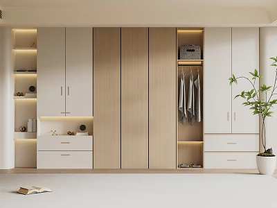 Modern White And Wooden Wardrobe With Hanging Area Drawers Lighting And Potted Plant 3d model