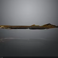 Long Slender Brown And Orange Fish With Reflective Surface On Gray Background