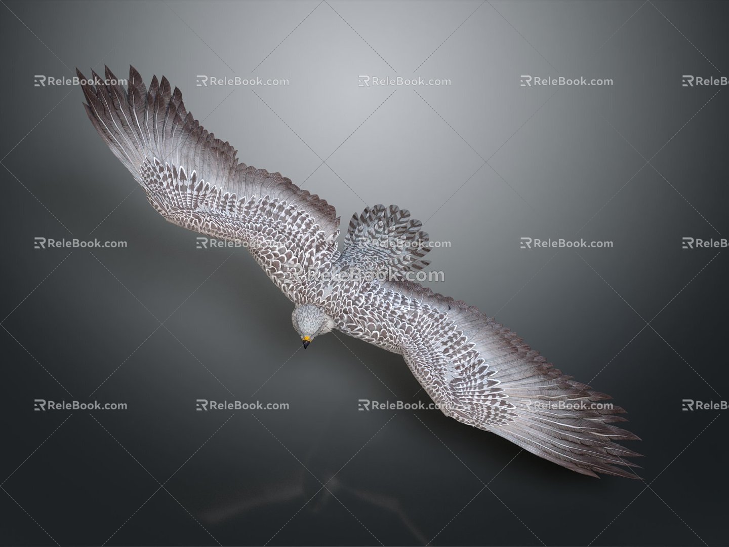 Modern Owl Raptor 3d model