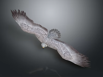 Majestic Eagle with Patterned Feathers Spreading Wings Flying as Airborne Animal 3d model