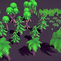 Various Green Plants Including Trees Shrubs And Ferns As 3D Models On Dark Background