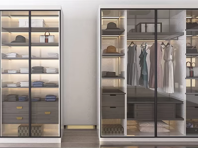Modern Glass Door Wardrobe Interior With Hanging Clothes Hats Bags And Drawers 3d model