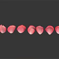 Pink Rose Petals Arranged in a Line on Black Background with Soft Glow