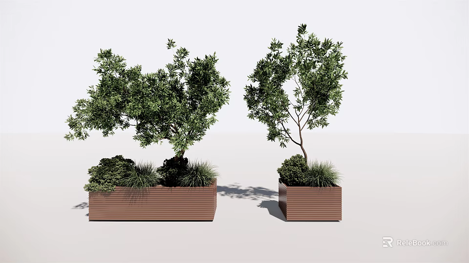 Potted Bonsai Plants In Brown Rectangular Planters With Lush Green Foliage 3d model