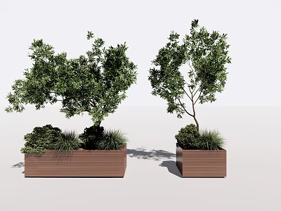 Potted Bonsai Plants In Brown Rectangular Planters With Lush Green Foliage 3d model