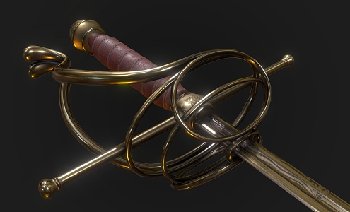 Weapon class fencing 3d model