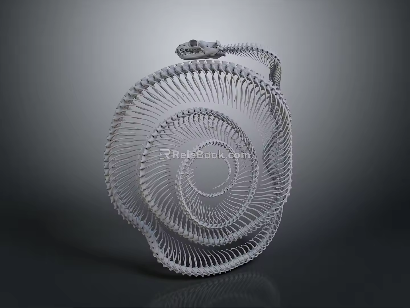 snake bone snake bone 3d model