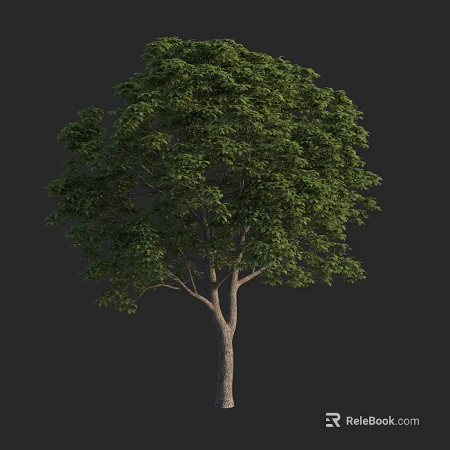 Lush Green Arbor with Dense Foliage and Brown Trunk in Natural Growth 3d model 