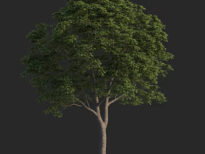 Lush Green Arbor with Dense Foliage and Brown Trunk in Natural Growth 3d model