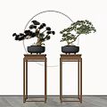 Two Bonsai Plants On Wooden Stands With Round Mirror In Minimalist Interior