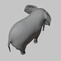 Realistic Elephant With Large Ears Long Trunk And Ivory Tusks On Dark Background