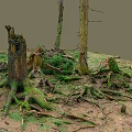 Lush Forest Floor With Mossy Tree Stumps Fallen Trunks Green Grass And Standing Trees 3d model