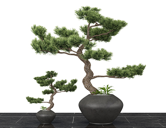 Modern Bonsai Plant Ornaments 3d model