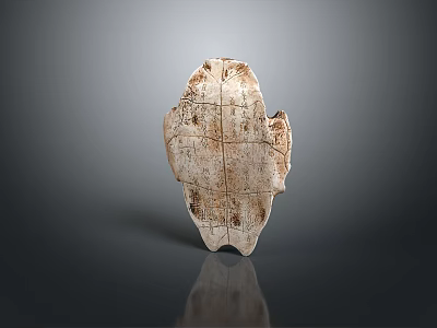 Reptile Turtle Carapace with Detailed Natural Texture and Cracks Light Brown on Gray Background 3d model