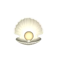 Shell Shaped Aquarium Fish Tank With Pearl Decoration On Beach Sand