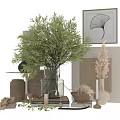 Ornamental Decor Collection With Green Plants Transparent Vase Terracotta Pots Table Lamp And Dried Flowers