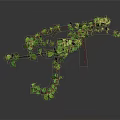 Green Vine Plant With Long Branches And Small Green Leaves On Gray Background With Reflection