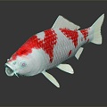 Modern Fish Cold Water Fish Koi Goldfish 3d model