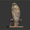 Modern owl grimace owl long-eared owl Wulin owl 3d model