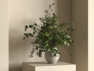 green plant potted plant 3d model