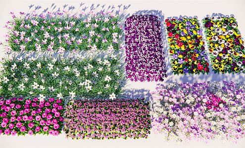 Modern flower and grass cover Petunia flower Safflower Oxalis Onion orchid Pansy Cosmos 3d model