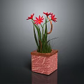 Potted Plant With Red Flowers Green Leaves In Pink Square Textured Pot