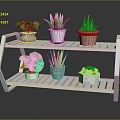 Stylish Two Tiered White Wooden Shelf With Potted Green Plants And Colored Pots