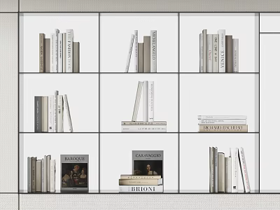 Books and Magazines Neatly Arranged on Modern Minimalist Multi Compartment Shelf with Various Colored Spines 3d model