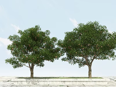 Lush Arbor Trees With Green Foliage And Fruits Against Clear Blue Sky And Light Ground 3d model