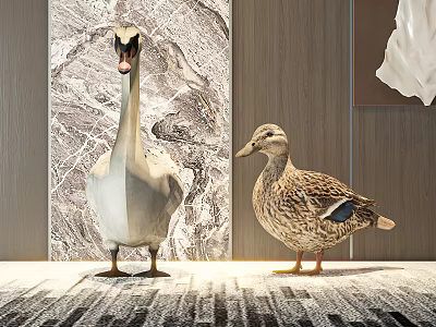 White Swan And Brown Duck Standing On Patterned Rug With Decorative Painting And Wooden Wall 3d model