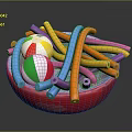 Assorted Colorful Inflatable Beach Toys And Tubes In Red Container
