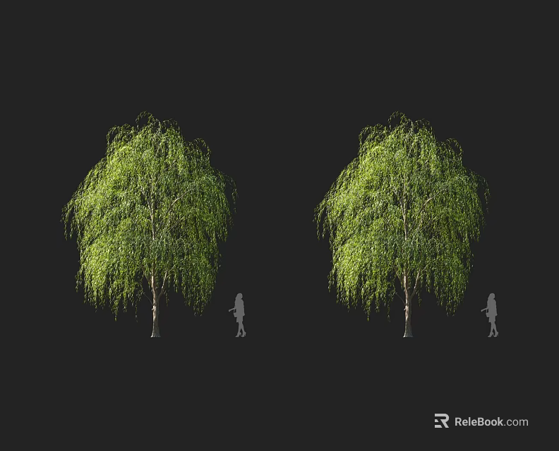 Willow Trees With Hanging Green Branches And Silhouette Figure Against Dark Background 3d model 