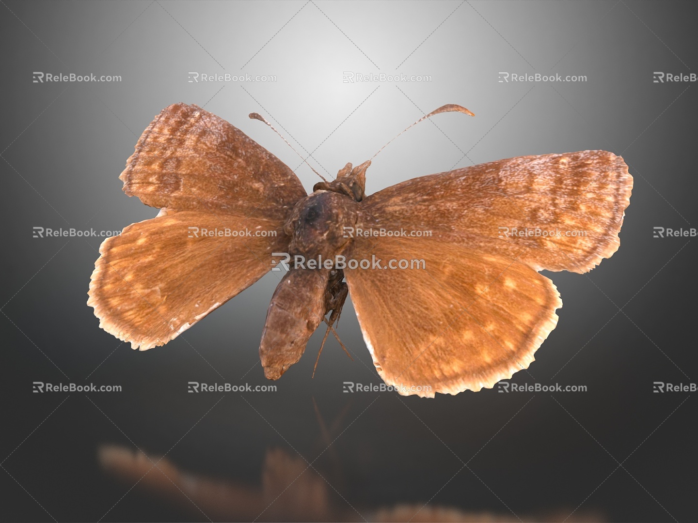 Modern Butterfly Moth Color Butterfly Tiger Spot Butterfly 3d model