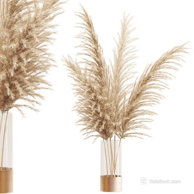 Minimalist Transparent Vase with Natural Pampas Grass Dried Flowers on White Background 3d model 