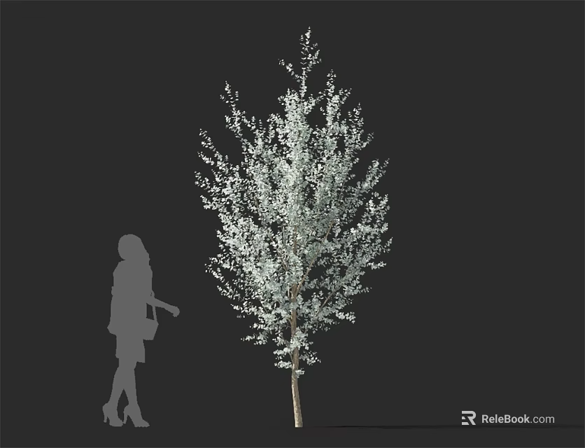 Tall Arbor With Dense Light Colored Foliage And Human Silhouette For Scale 3d model