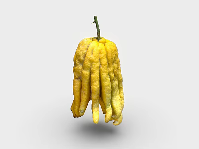 Fresh Yellow Buddha's Hand Vegetable With Finger Like Shape And Green Stem 3d model