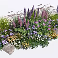 Various Types Of Colorful Flowers And Green Plants With Lush Foliage And Stones
